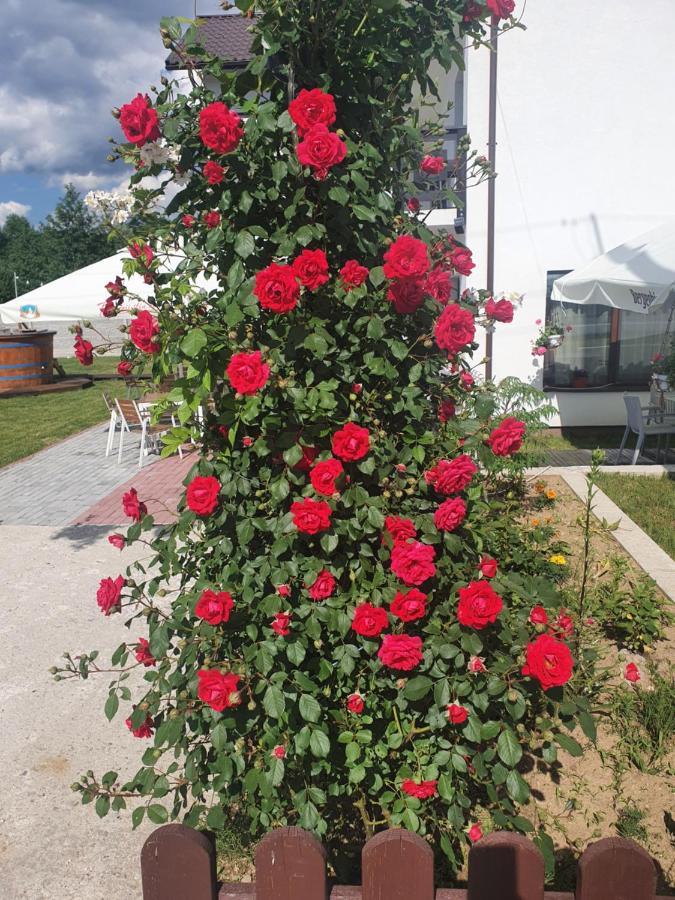 Pensiunea Ronicson Milostea Esterno foto